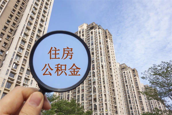 公积金还看征信吗吗_黄骅公积金代办在职离职封存服务